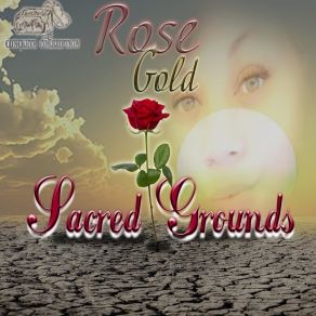 Download track In The Zone Rose GoldTru Blu