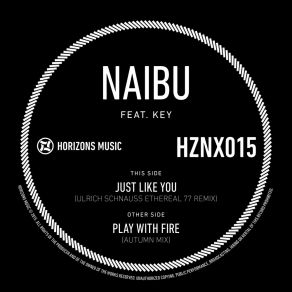 Download track Just Like You (Ulrich Schnauss Ethereal 77 Remix) NaibuKey