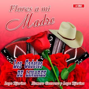 Download track La Tumba De Mi Madre Cadetes De Linares