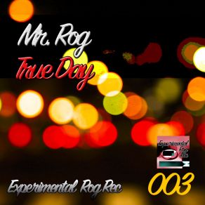 Download track Experimental Loop Song (Original Mix) Mr. Rog