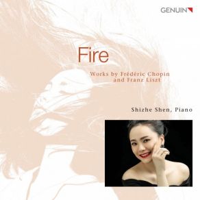 Download track Grandes Études De Paganini, S. 141: No. 3, La Campanella. Allegretto Shizhe Shen