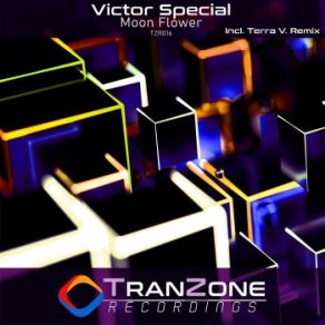 Download track Moon Flower (Original Mix) Victor Special