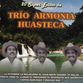 Download track El Potosino Trio Armonia Huasteca