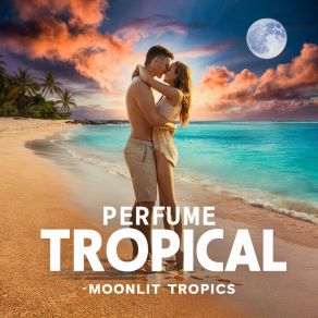 Download track Moonlit Tropics Stability