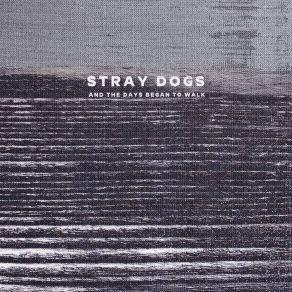 Download track Pluvier Stray Dogs