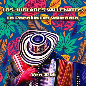 Download track La Novia Mas Linda La Pandilla Del Vallenato