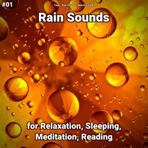 Download track Dreamlike Ambient Rain Sounds Nature Sounds