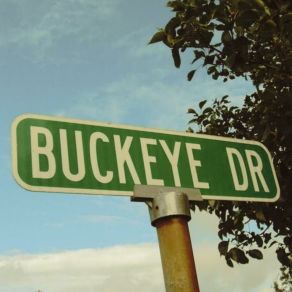 Download track Time To Die Buckeye Drive