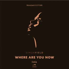 Download track Where Are You Now (VIP Instrumental) Simon FieldMonoJack