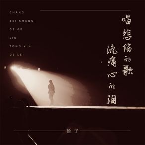 Download track 唱悲伤的歌流痛心的泪 (DjBanan版) 延子Banan