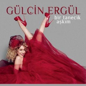 Download track Erdinc Erdogdu Chillstep Remix Gülçin Ergül