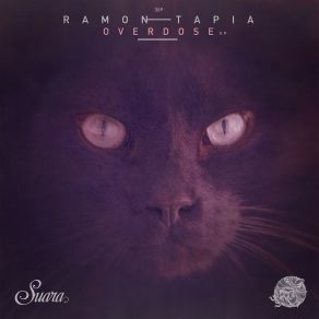 Download track Entity Ramon Tapia