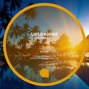 Download track Burning Up (Original Mix) Luis D Aguiar