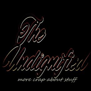 Download track Moron The Undignified