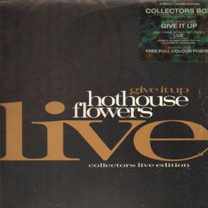 Download track Leave Your Troubles Behind Hothouse Flowers