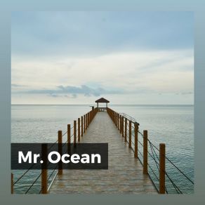 Download track Newfangle Ocean Ocean In HD