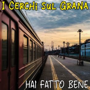 Download track Hai Fatto Bene I Cerchi Sul Grana