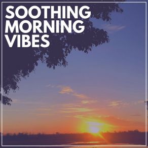 Download track Star Nights Relaxing Morning Music