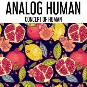 Download track Elephunk Analog Human