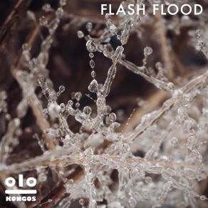 Download track Flash Flood Kongos