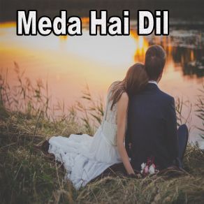 Download track Meda Hai Dil Amjad Saqi