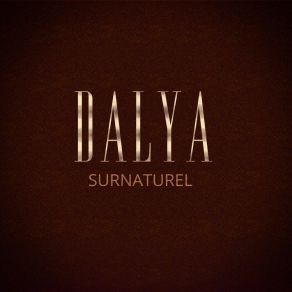 Download track On Se Comprend Dalya