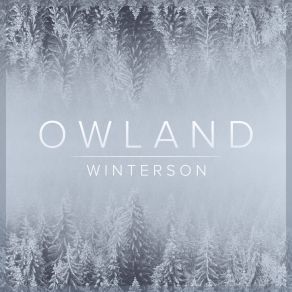 Download track Owland (Remix Extended) Winterson