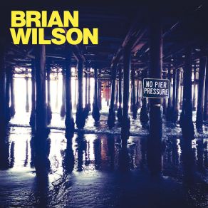 Download track Guess You Had To Be There Brian Wilson