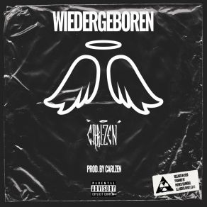 Download track Bis Sie Mich Liebt CarlZenSkeeniboi