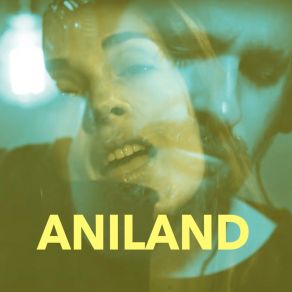 Download track Not A Real Song (Live) Aniland