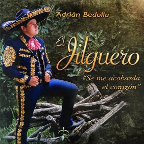 Download track Te Quedaste Adentro Adrián Bedolla 