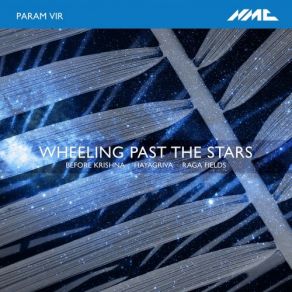 Download track Wheeling Past The Stars: II. Palm-Tre Soumik Datta, Klangforum Wien, Ulrich Heinen, Enno Poppe, Patricia Auchterlonie