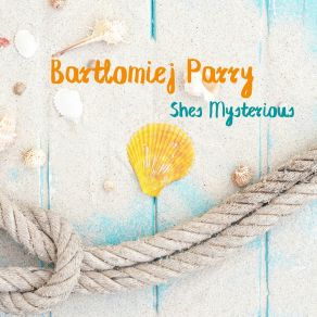 Download track Sneezing Songs Bartlomiej Parry