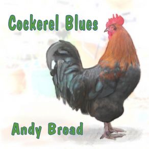 Download track Ottoman Blues Andy Broad