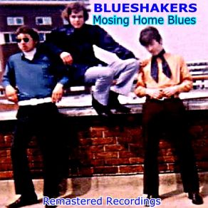 Download track On The Back Slide Blues Blueshakers