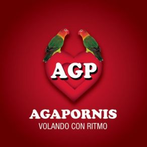 Download track Corre (En Vivo) Agapornis