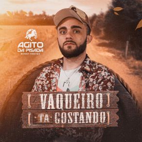 Download track Vaqueiro Ta Gostando Zé Antônio