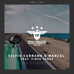 Download track No Goodbyes (Extended Mix) Silvio CarranoMarcels, Vince Tomas