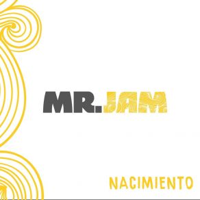 Download track Regresiones Mr. Jam