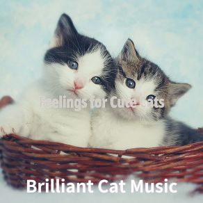 Download track Hypnotic Ambiance For Cute Cats Brilliant Cat Music