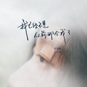 Download track 我已经不是从前那个我 (伴奏) 花不晚