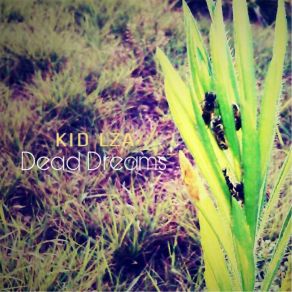 Download track Cocoon Kid LZA