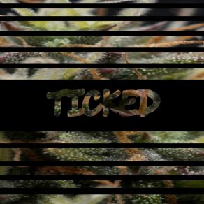 Download track Mac Lethal Lilblu