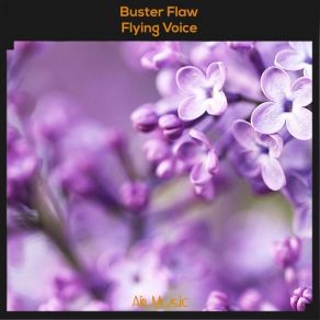 Download track Flying Voice Buster Flaw