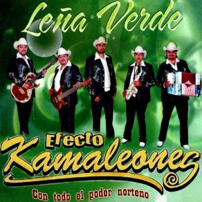 Download track Sangre De Indio Leña Verde