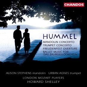 Download track 5. Trumpet Concerto In E Major S49W1 - I. Allegro Con Spirito Hummel Johann Nepomuk