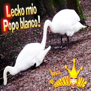 Download track Lecko Mio Popo Blanco! (Radio-Edit) Arnie Der Sonnenkoenig