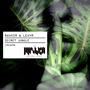 Download track Secret Jungle (Radio Mix) LevyM