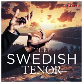 Download track Det Ohyggligt Starka Skenet Ture Rangström, Wilhelm Peterson - Berger, Bo Nilsson, Karl Birger Blomdahl, Gunnar De FrumerieBjorn Haugan