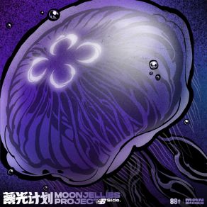 Download track 夏夜爱之碎 Moonjellies